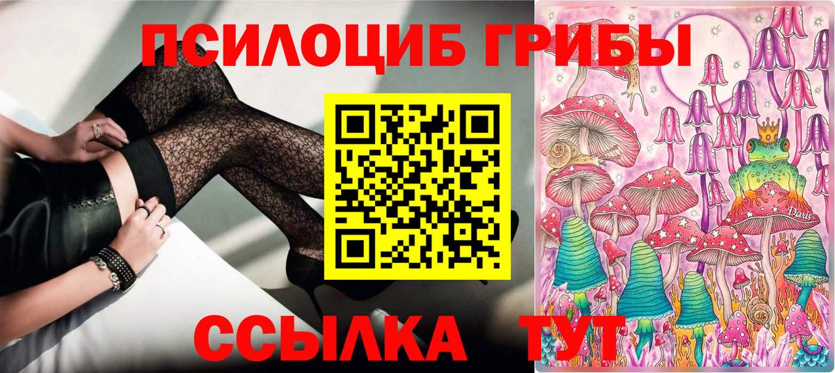 Галлюциногенные грибы GOLDEN TEACHER Соль-Илецк