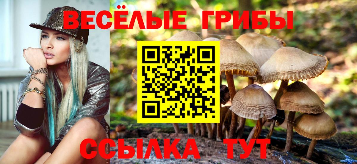 Галлюциногенные грибы мицелий  Вход с VPN  Соль-Илецк 